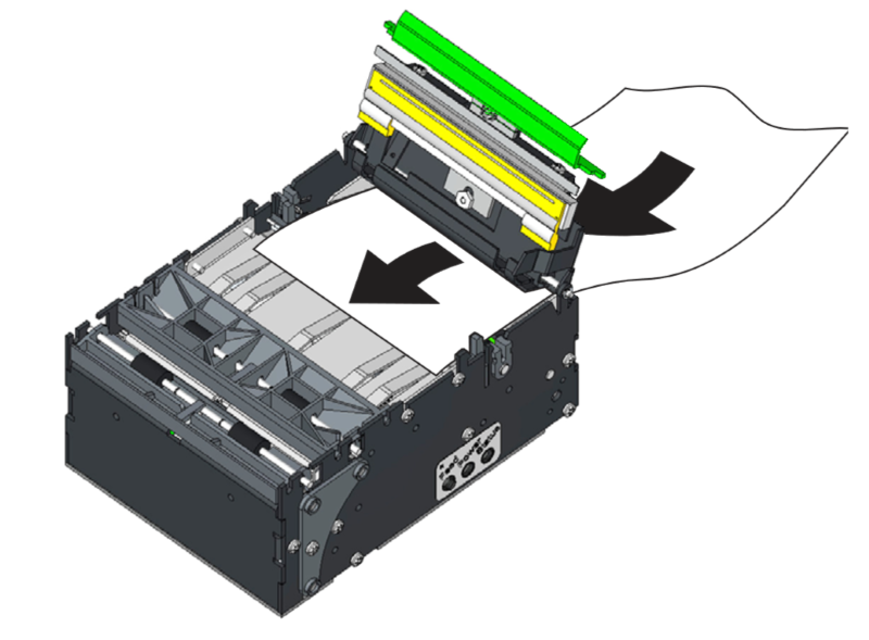 Insert Paper into Printer